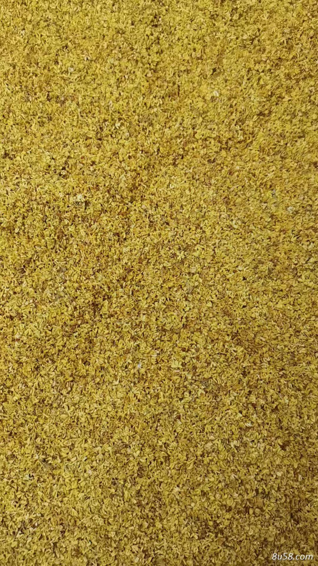桂花的功效与作用是什么？桂花的搭配有哪些？