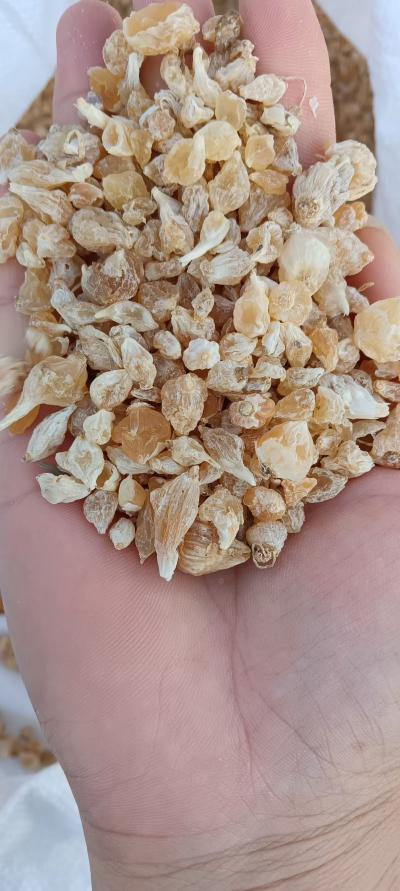 薤白能煲汤吗？薤白的搭配有哪些？薤白的功效与作用是什么？