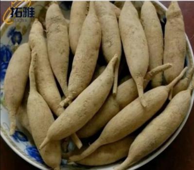 四年生天冬鲜品